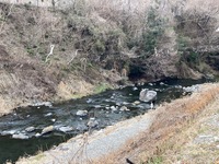 秩父フライフィールド 釣果