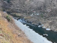秩父フライフィールド 釣果