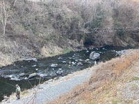 秩父フライフィールド 釣果