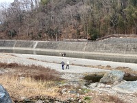 秩父フライフィールド 釣果