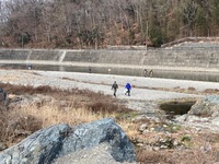 秩父フライフィールド 釣果