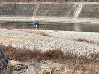 秩父フライフィールド 釣果