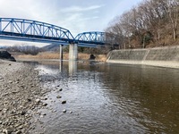 秩父フライフィールド 釣果