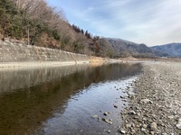 秩父フライフィールド 釣果