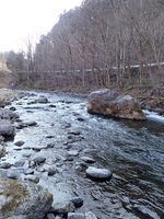 秩父フライフィールド 釣果
