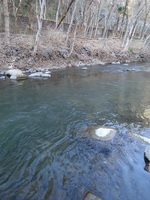 秩父フライフィールド 釣果