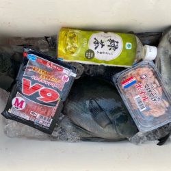 千津丸 釣果