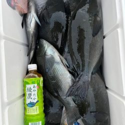 正福丸 釣果