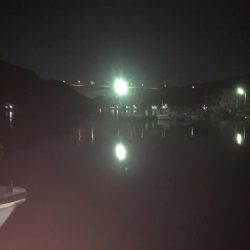 ガルプ強すぎwww。