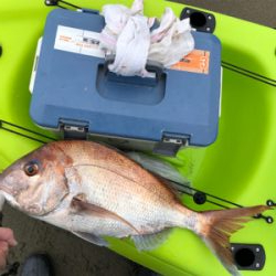 めでたい初浮き2022