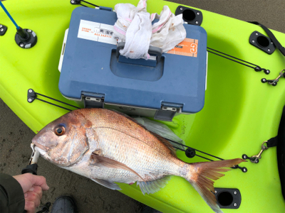 めでたい初浮き2022