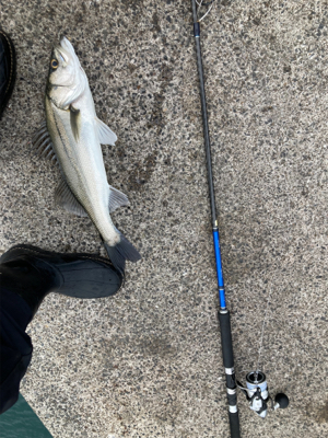 ダイソーワーム炸裂