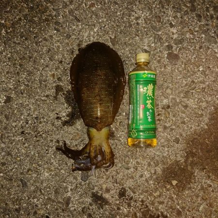 寒いけど！当たりがあります。