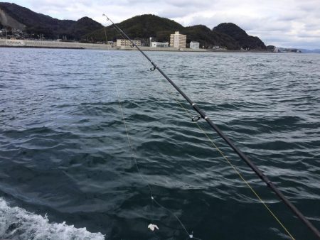 関門でアラカブ大漁