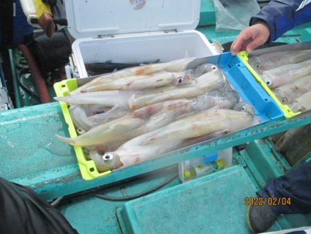 ヤリイカ、サバが釣れたよ(^_-)-☆