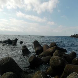 福井　釣果　グレ　良型　