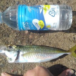 天気良し！風なし！絶好の釣り日和＾＾v