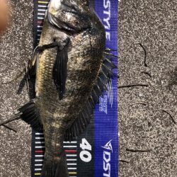 イチノ兄弟、釣果!