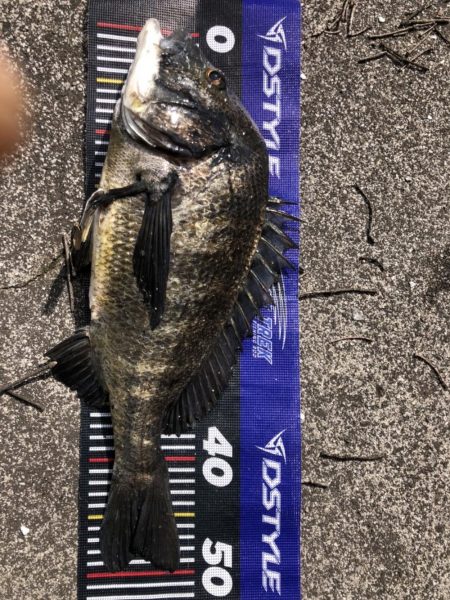 イチノ兄弟、釣果！