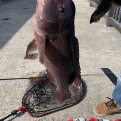 タンコブゲーム