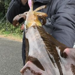 エギング釣行④(プチ温泉旅館付)