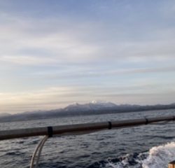 オフショアジギング