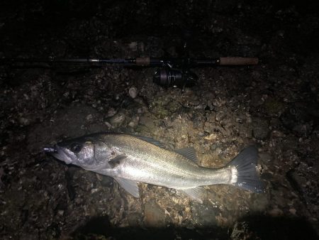 ヒラメ狙いで！