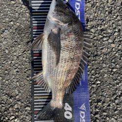 イチノ兄弟、釣果！