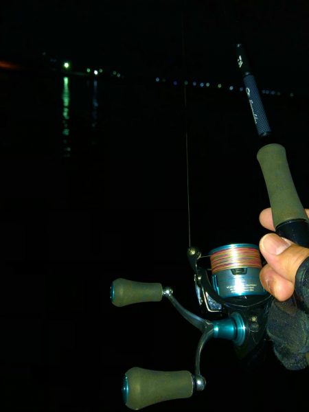 ヤリイカ急に渋い