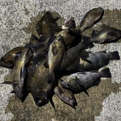 メバリングフロート