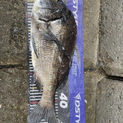 イチノ兄弟、釣果！