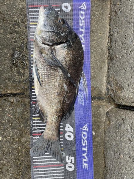 イチノ兄弟、釣果！