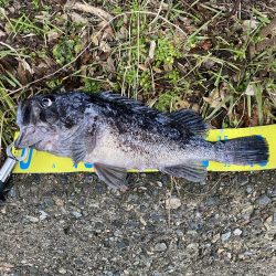 仕事終わりの夕まずめ