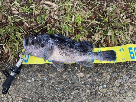 仕事終わりの夕まずめ