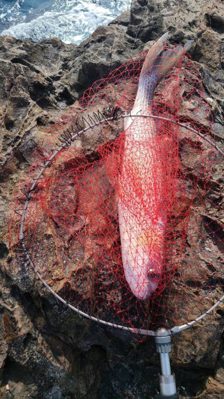 和歌山市江（吉丸渡船）で磯フカセ