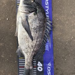 イチノ兄弟、釣果！