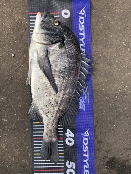 イチノ兄弟、釣果！