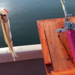 入鹿池でワカサギ釣り