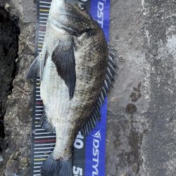 イチノ兄弟、釣果!