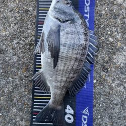 イチノ兄弟、釣果！