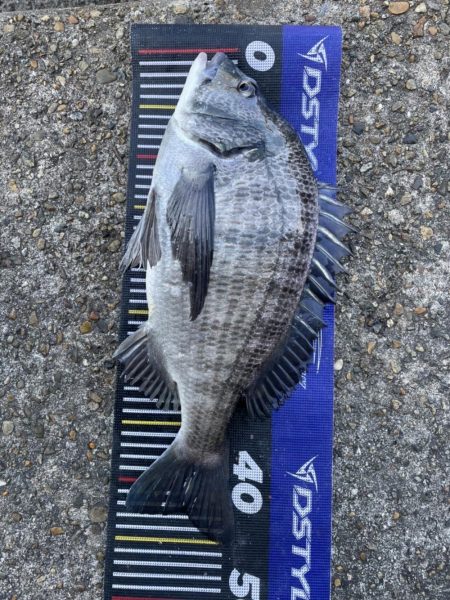 イチノ兄弟、釣果！