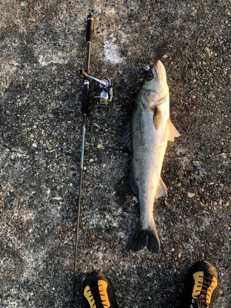 フロートからの、、、