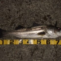 厳しいながらも何とか