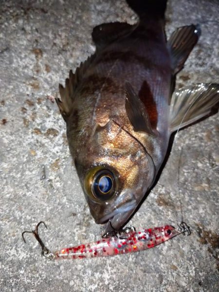 仕事帰りにメバリング