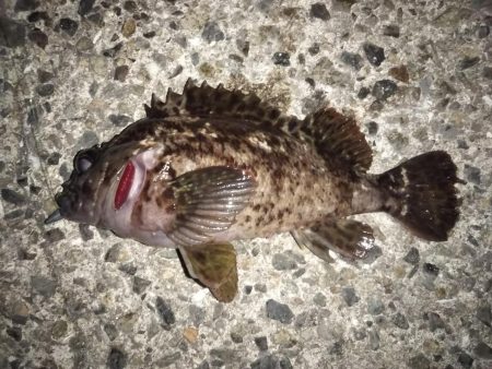 夜勤明け居眠り釣行