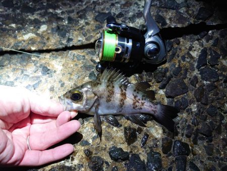 寒空の下でメバリング