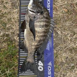 イチノ兄弟、釣果!