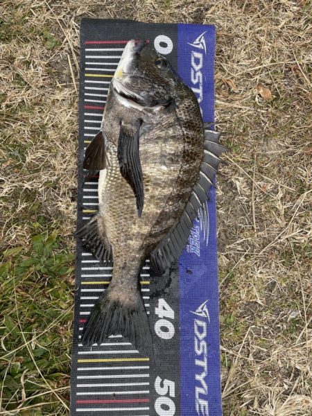 イチノ兄弟、釣果！