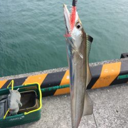 ぷりぷりテール最高