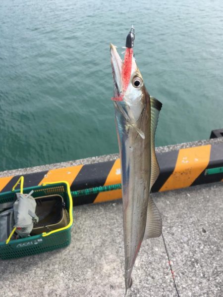 ぷりぷりテール最高